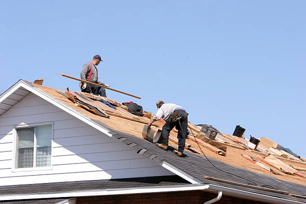 Best Roof Insulation Installation  in Hoopeston, IL